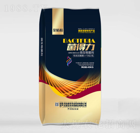 10�|΢�������-������-�S�T���r(n��ng)