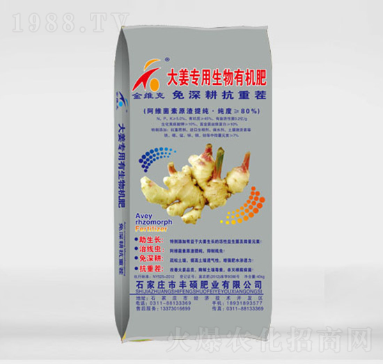 �󽪌��������ЙC(j��)��-�S�T���r(n��ng)