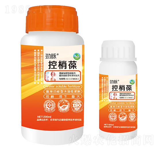 ������-���}