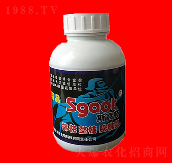 �޻���֦�����`-˹����-���R�ʘI(y��)