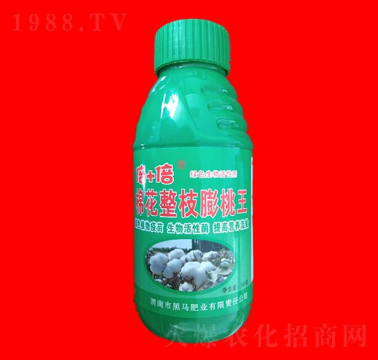 �޻���֦������-˹����-���R�ʘI(y��)