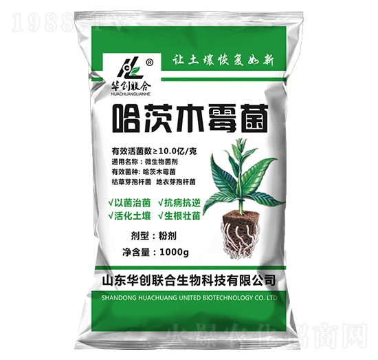 ����ľù��-�A��(chu��ng)(li��n)��