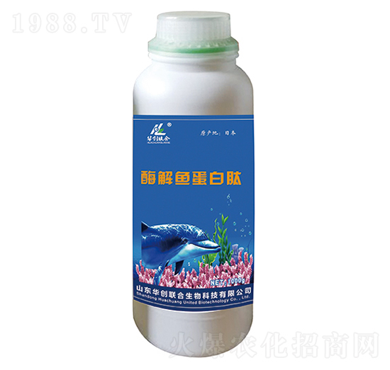 ø���~�����ģ�1000g��-�A��(chu��ng)(li��n)��