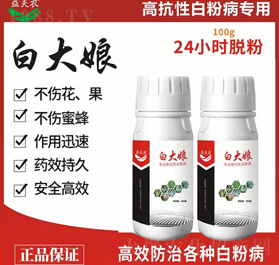 ���θ߿��԰׷۲�-�״���-����r