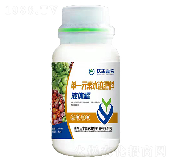 ���w��-���S���r