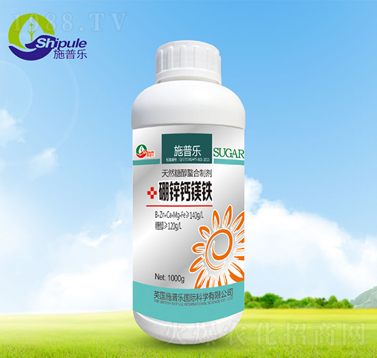 ���\�}�V�F-ʩ�՘�(l��)