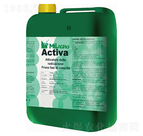 ����������-���h(yu��n)