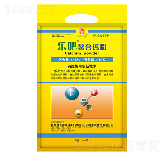 ���������}��-��ꖉ�