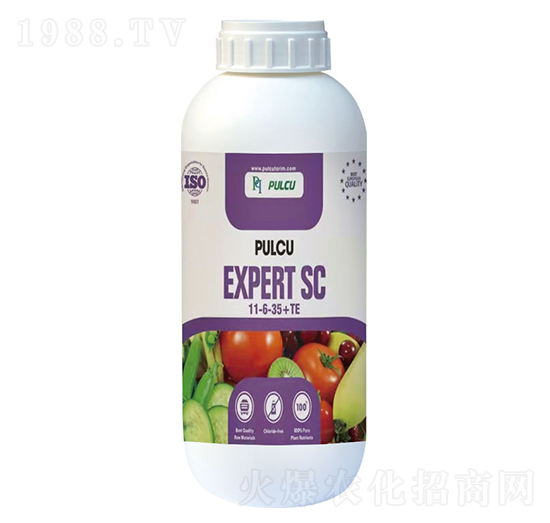 �����䡤�ՠ���11-6-35+TE-�W��ɳ