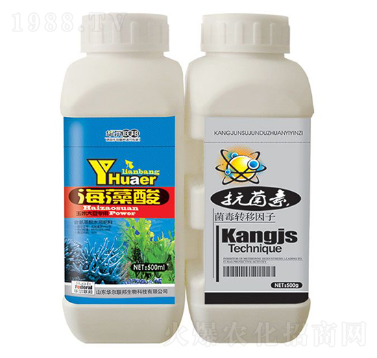 ������+������-�A�����Z