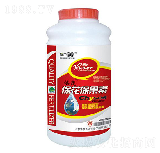 ����������-�A�����Z