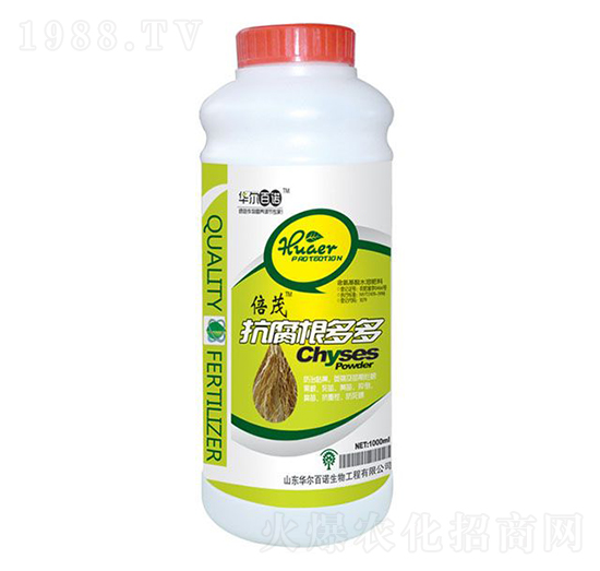 ����������_ʩ��-�A�����Z