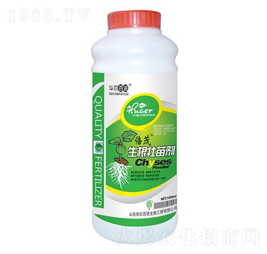 �������焩-�A�����Z