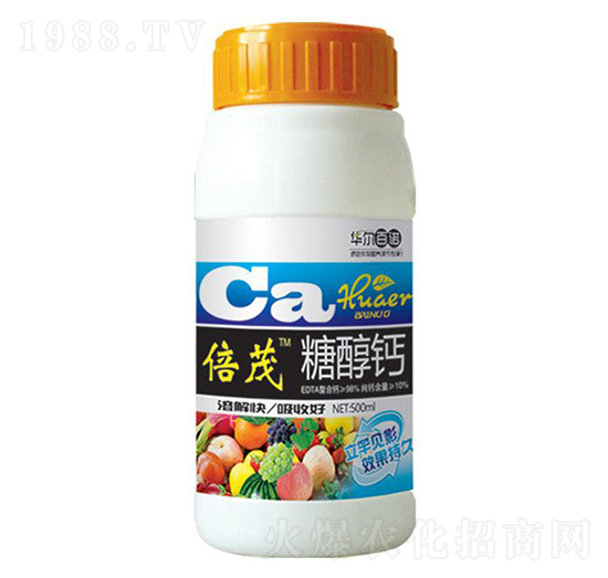 500ml�Ǵ��}-�A�����Z