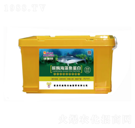 ø�⺣���~����-��(y��u)����