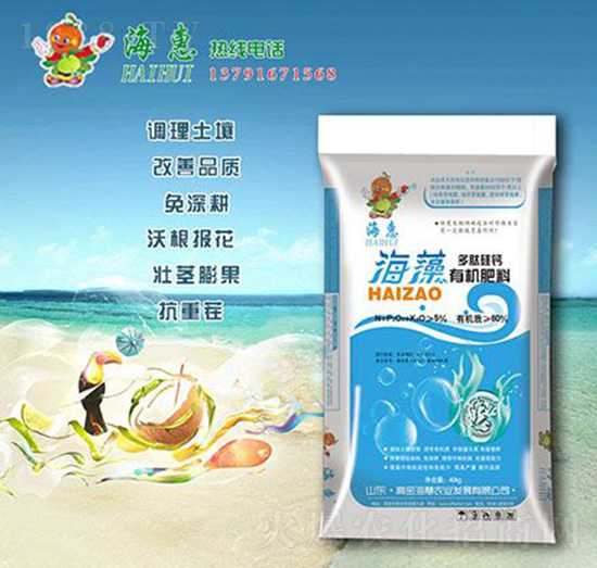 ������Ĺ��}�ЙC����-����