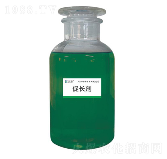 ���L��-�h�����B(t��i)