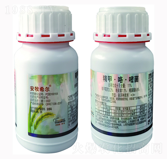 11%���ס������׾�-�d���r(n��ng)�I(y��)