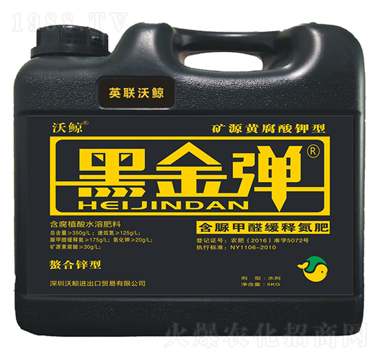 ����w������-�ڽ���-���L