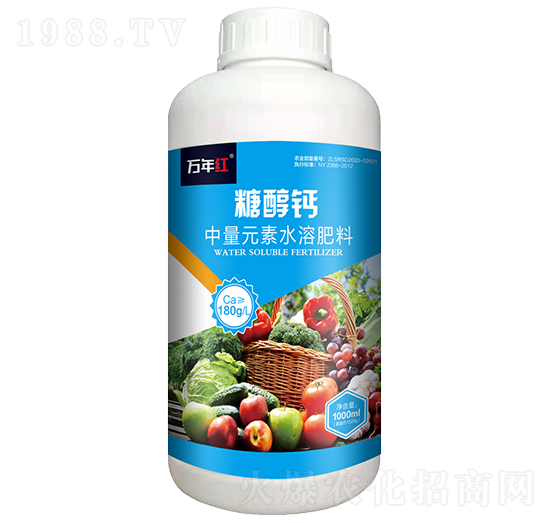 1000ml�Ǵ��}-�f��t-�Z�\��