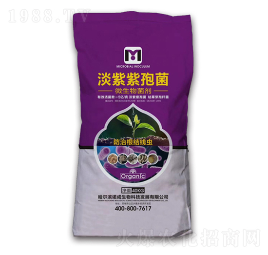 �������߾�-���r(n��ng)���F(tu��n)