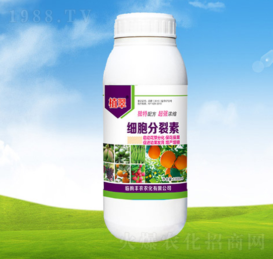 ����������-ֲ��-�S�r�r��