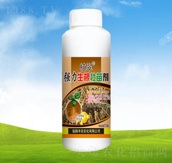 ��(qi��ng)���������焩��ƿ��-ֲ��-�S�r(n��ng)�r(n��ng)��