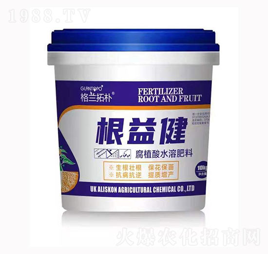 ���潡-���m�ؘ�-���{(l��n)