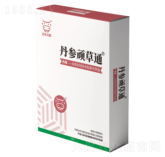 �����B��ͨ-���A����