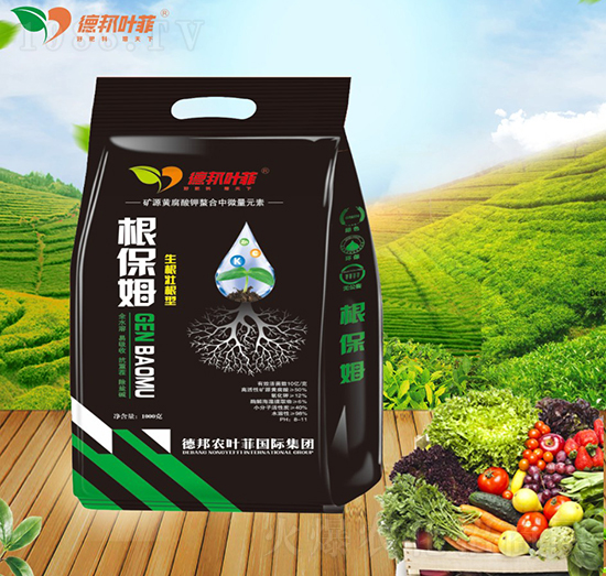 ����������-����ķ-�°��~��