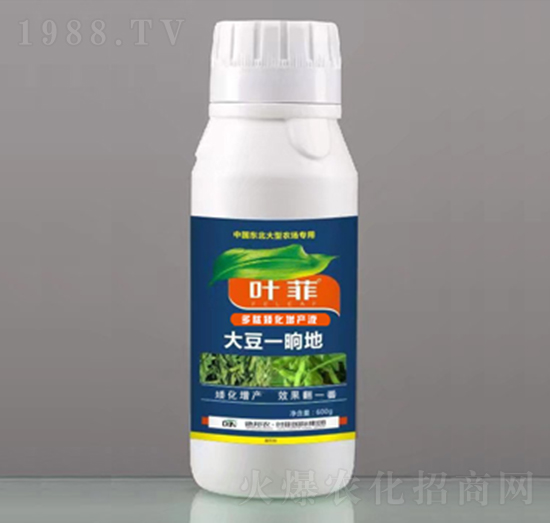 ���İ������aҺ-��һ�s��-�°��~��