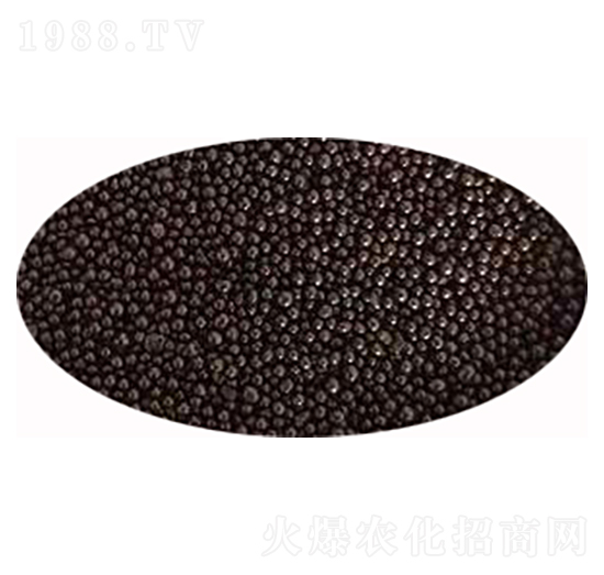 �����ЙC(j��)���w��-��ɏ���