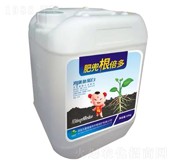 �����~����-�ʶ�������-�����ʘI(y��)