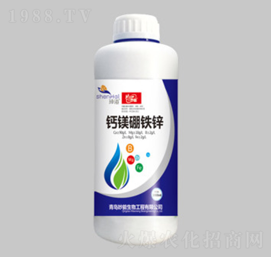 �}�V���F�\-��������