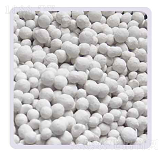 ���׏�(f��)�Ϸ�16-20-���P����