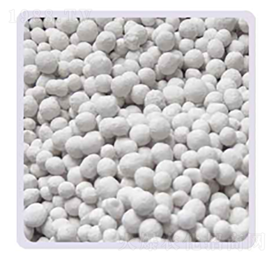 ���׏ͺϷ�20-20-13S-���P����