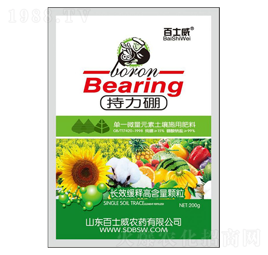 ������-��ʿ��