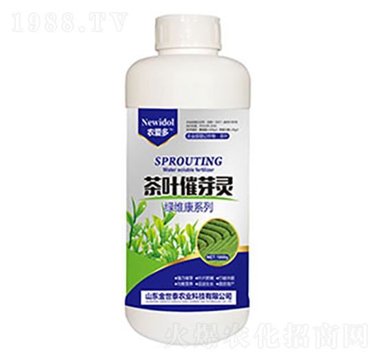 ���~��ѿ�`-����̩