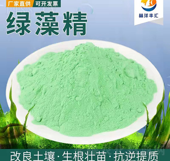 �G�徫-�����Q