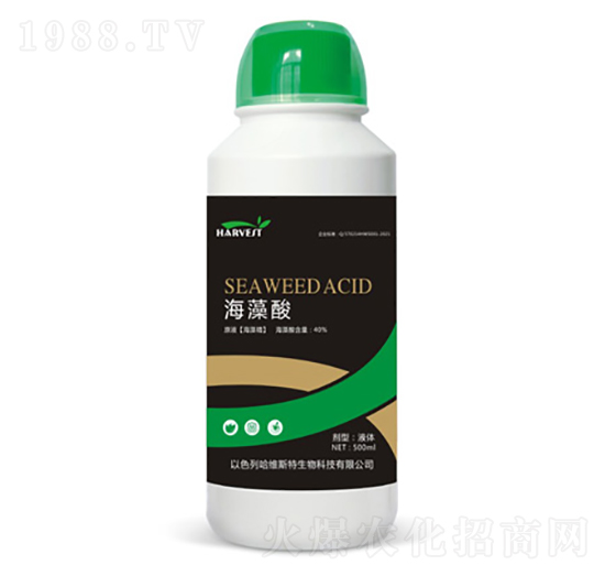 ������-���S˹�طʘI(y��)