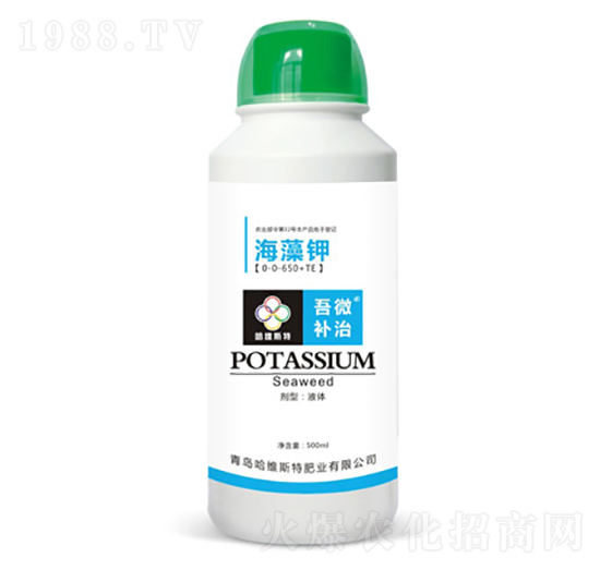 �����-��΢�a��-���S˹�طʘI(y��)