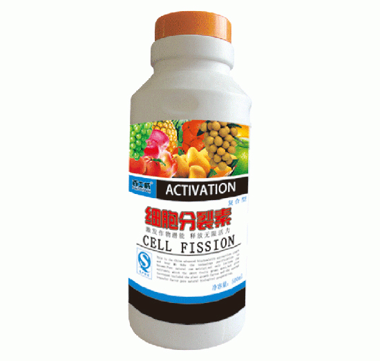 ��(x��)��������-��ʿ��