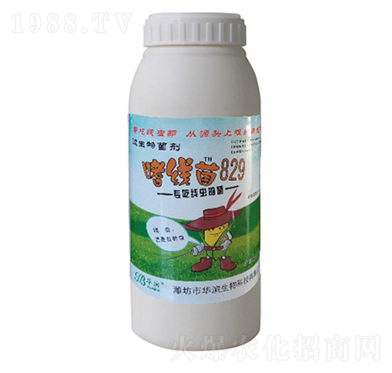 �Ⱦ�(xi��n)��829-�A�I����