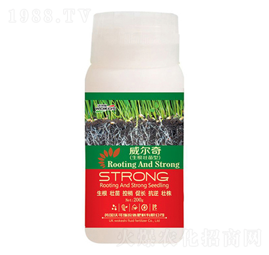 ����������-������-һ����