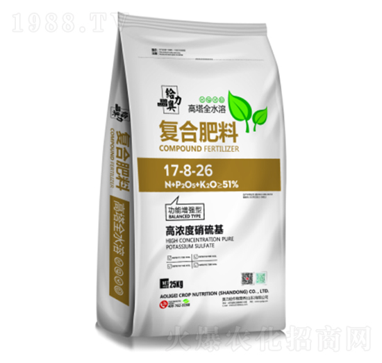 �ߝ��������ͺϷ���17-8-26-�W���o