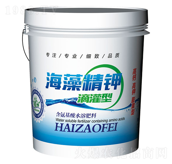 ���徫�-�f(w��n)��