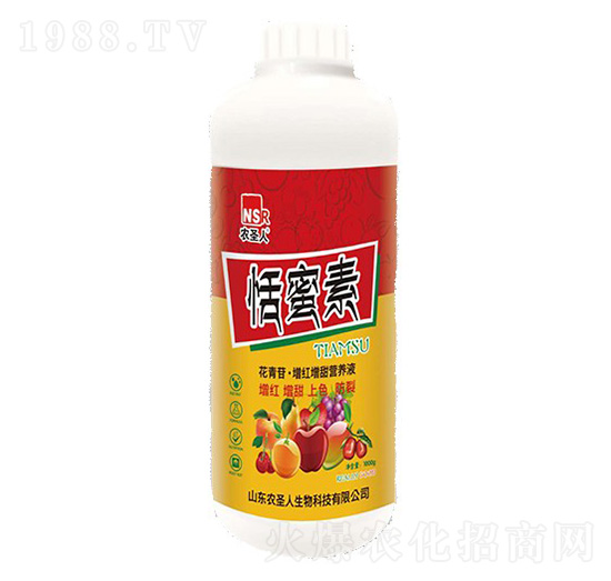 ������-�r(n��ng)ʥ��