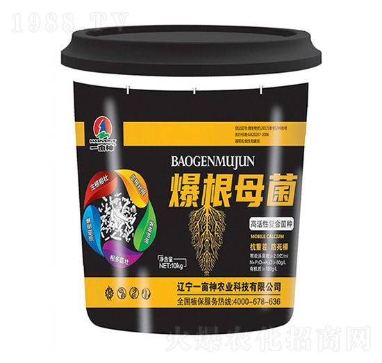 �߻��ԏ�(f��)�Ͼ��N-����ĸ��-һ����