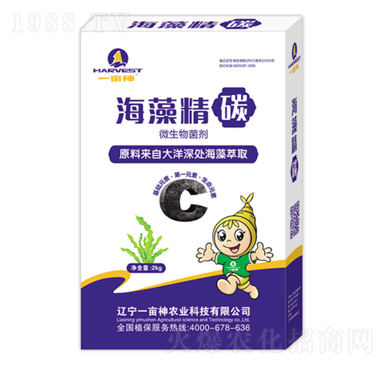 ΢�������-���徫̼-һ����