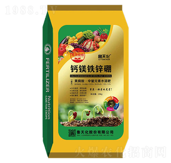 �}�V�F�\��-���컯